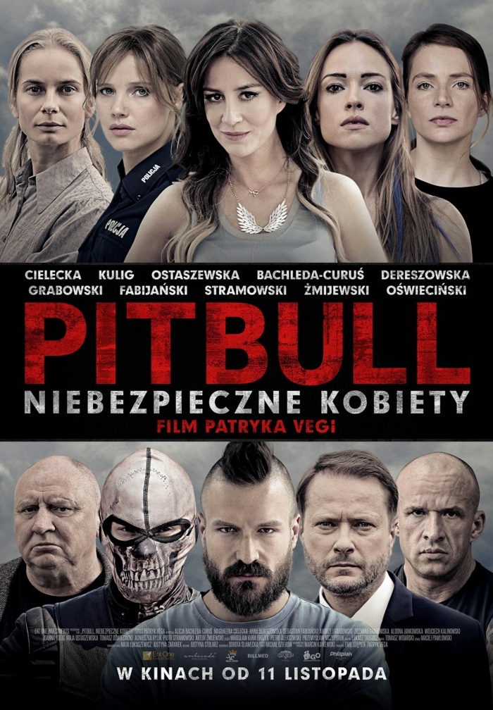 Pitbull - INTERNET