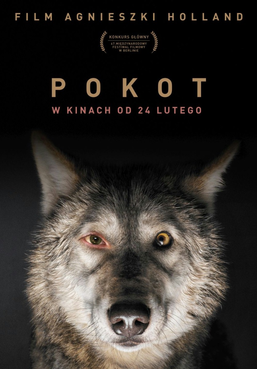 Pokot - plakat