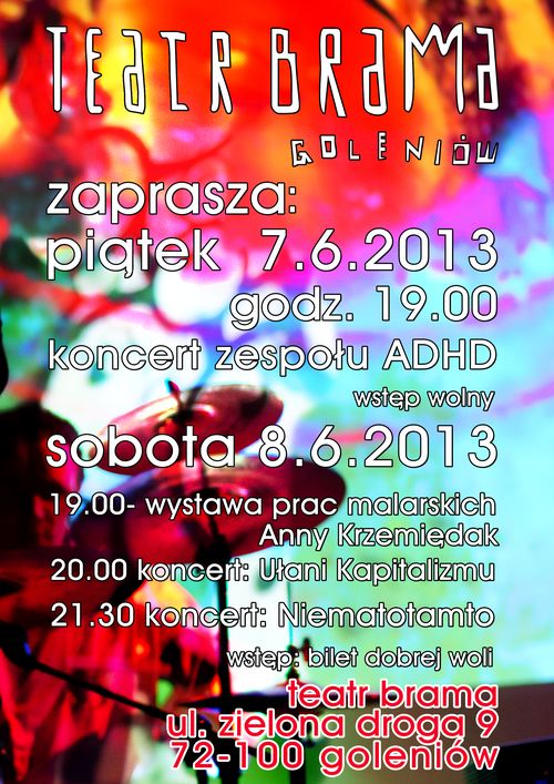 1.3.3plakat_ADHD_Nematotamto